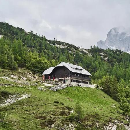 Cozy In The Heart Of Apartament *