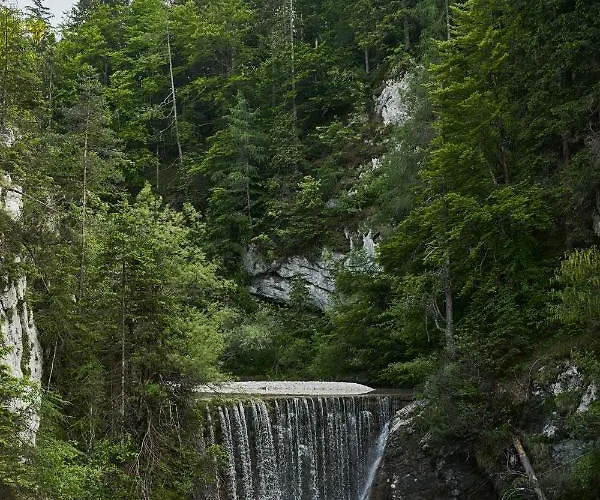 Apartamento Cozy In The Heart Of *